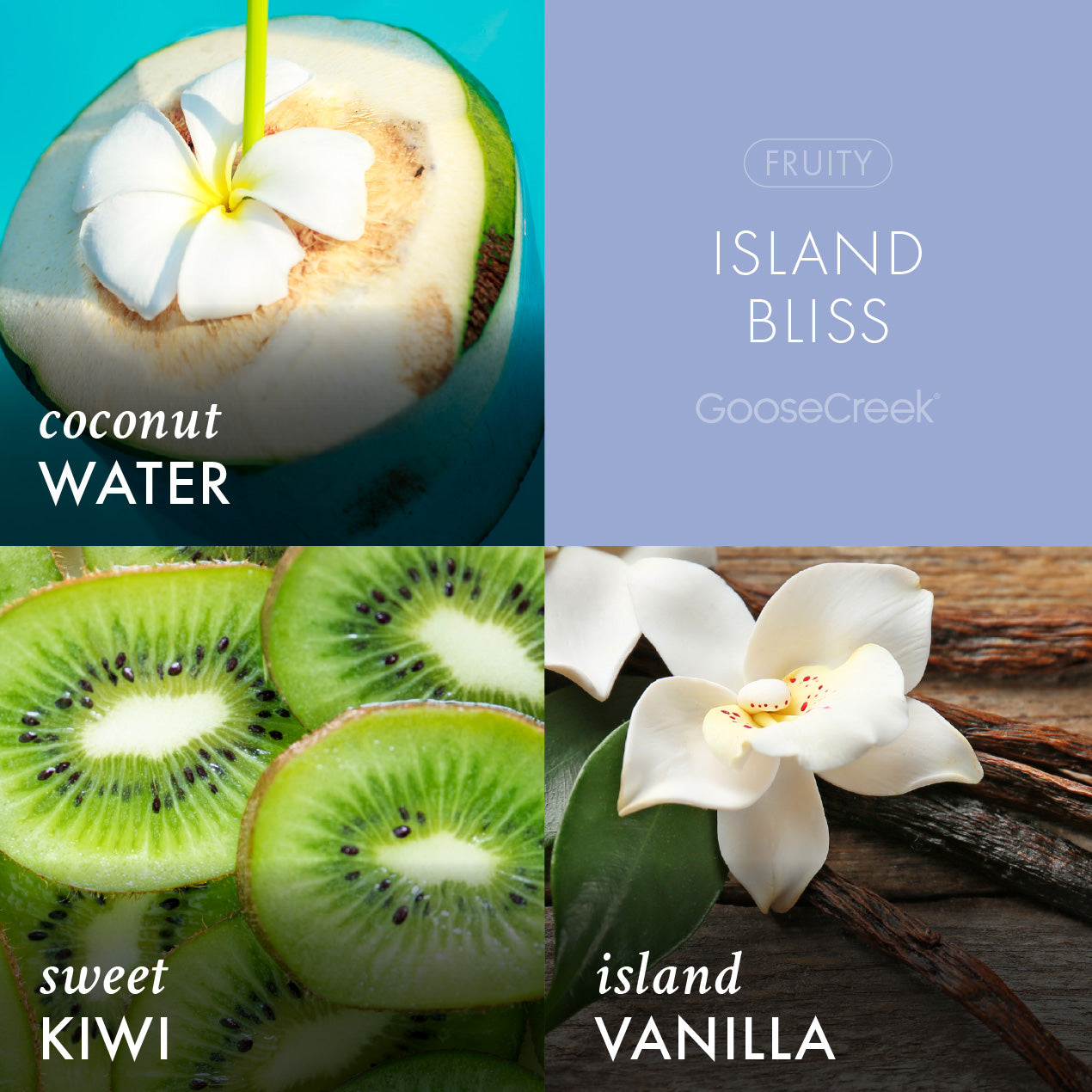 Island Bliss Wax Melt