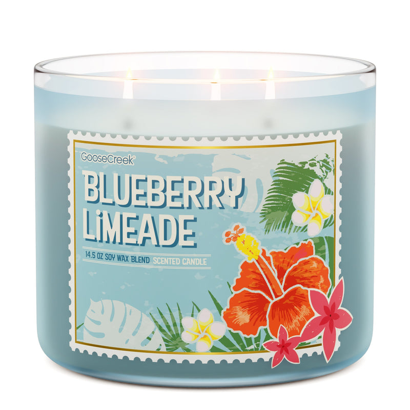 Blueberry Limeade 3-Wick Candle | Soft Select