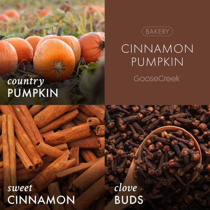 Cinnamon Pumpkin Wax Melt