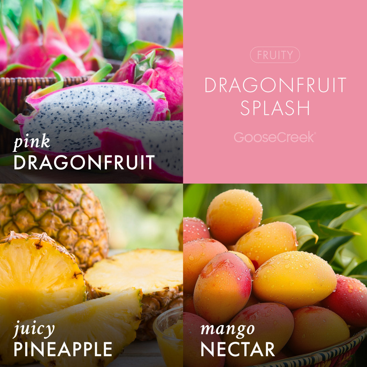 Dragonfruit Splash Wax Melt
