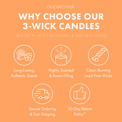 Mango Spritz 3-Wick Candle