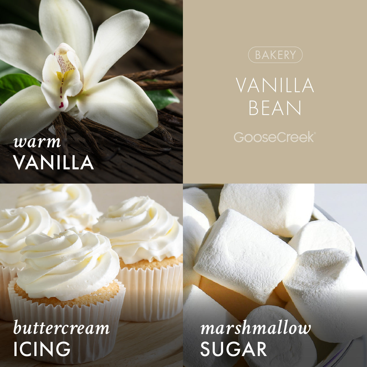 Vanilla Bean 3-Wick Candle
