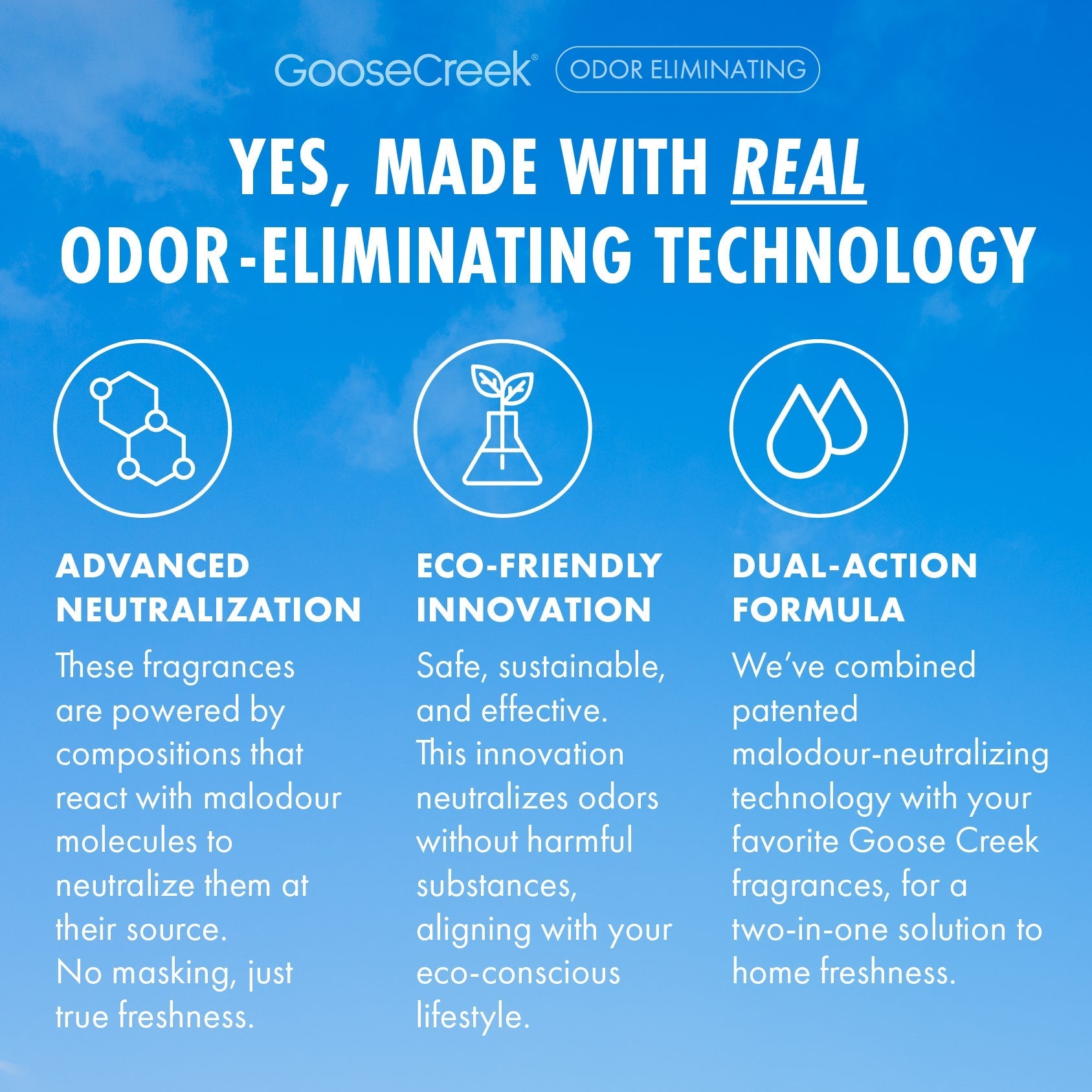 Watermelon Lemonade Odor Eliminating Wax Melt