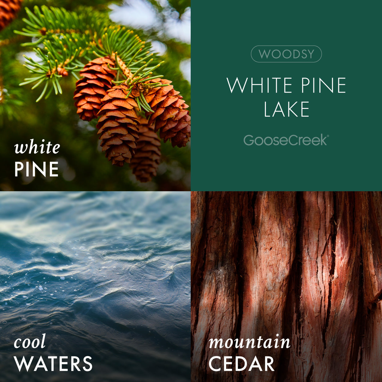 White Pine Lake 7oz Single Wick Candle
